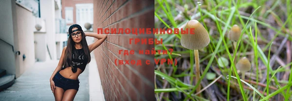 наркотики Приозерск
