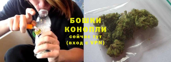 шишки Протвино