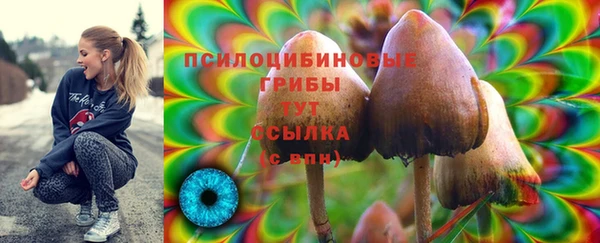 герыч Богданович
