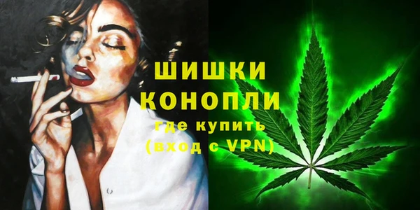 прущие грибы Богородск