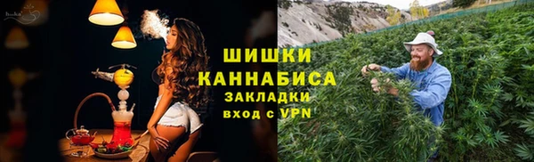 прущие грибы Богородск