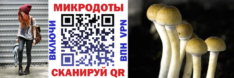 Псилоцибиновые грибы Psilocybine cubensis  цены наркотик  Джанкой 